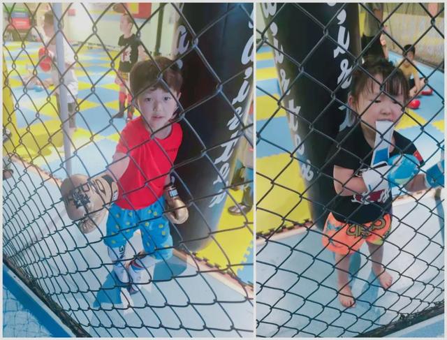 散打和自由搏击哪个更实用，自由搏击和散打哪个杀伤力大（搏击、武术、散打、跆拳道）