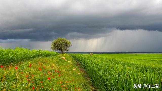 电脑好看的壁纸，10个最佳电脑壁纸（这56张绝美风景）
