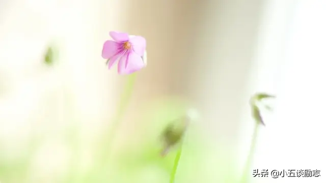 人生短暂别在犹豫不决中荒废了时光，人生那么短暂哪有时间让你去犹豫（时光悄然流逝，珍惜方得始终）