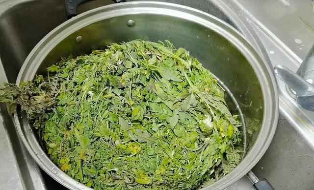 荠菜鸡蛋饺子馅怎么做好吃，饺子鲜嫩还不涩