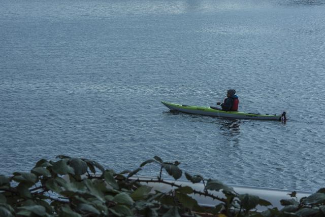 有一种奇葩的节日叫日本的裸体节，日本的这个节究...，西雅图每年都举办全裸游行