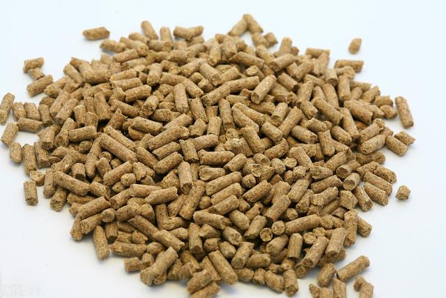 兔子喜欢吃什么食物，兔子吃啥好养活（兔子一般吃什么食物）