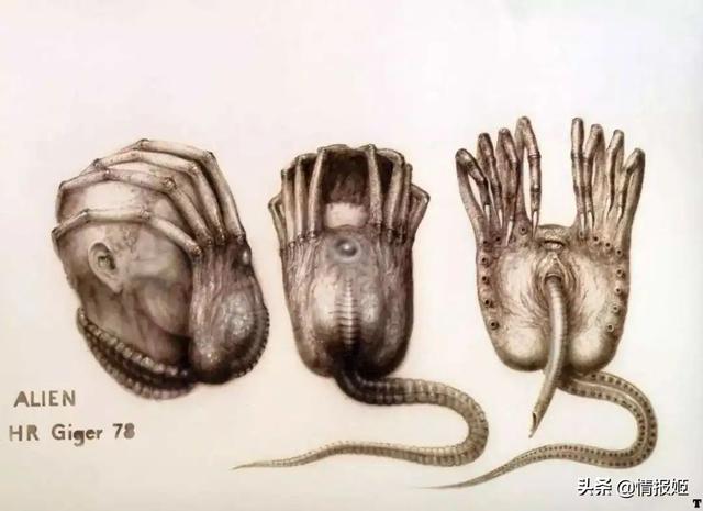 猎头蟹的已知种类，猎头蟹的已知种类是什么（从“异形之父”汉斯·鲁道夫·吉格尔）