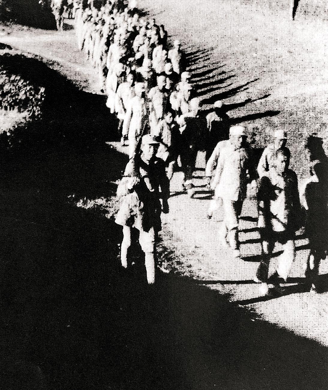 快乐大本营王子杰，2012年撒贝宁是参加第几期的快乐大本营（后扮保镖卧底巨匪身边将之生擒）