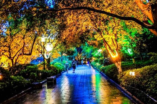 华灯初上唯美诗句，古城处处尽藏诗——诗词十四首