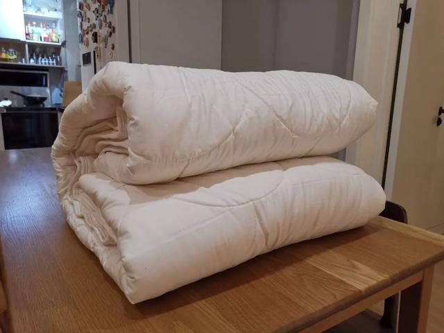 驼毛被子的优缺点，驼绒好还是羽绒被好_驼绒和羽绒被哪个好（五种常见材质被芯全方位对比）