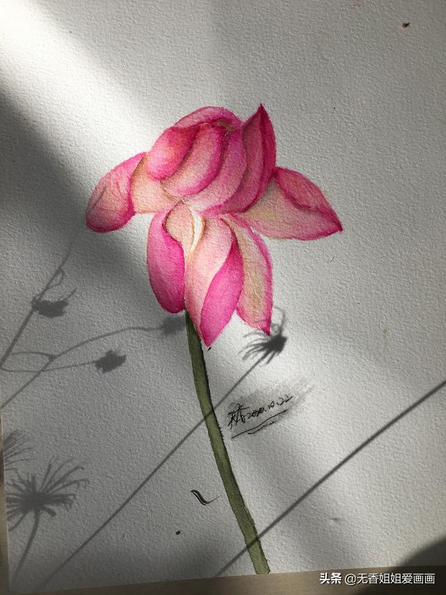 荷花怎么画画的又简单又漂亮，如何画完全盛开的荷花（用水彩也能画有实感的荷花）