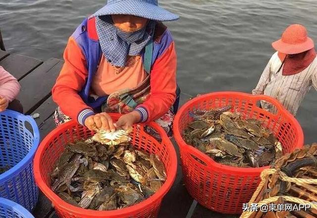 cambodia是哪个国家，cambodia是哪个国家货币2000（这是我的最新简历）