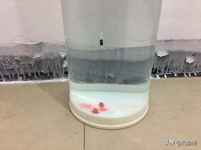 钓鱼调漂的正确方法，钓鱼入门如何调漂（再学不会我也没办法了）