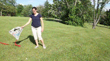 放风筝的三个基本步骤，放风筝的三个基本步骤过程（妈妈别插手让爸爸来）