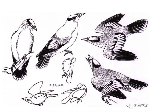 黄莺草，孙其峰 讲解黄鹂画法（黄莺草可以做干花吗）