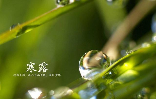 大雁南飞是什么季节，大雁南飞是什么季节?( ) A春秋 B春夏 C秋冬 D冬春（带你走进诗词里的节气）