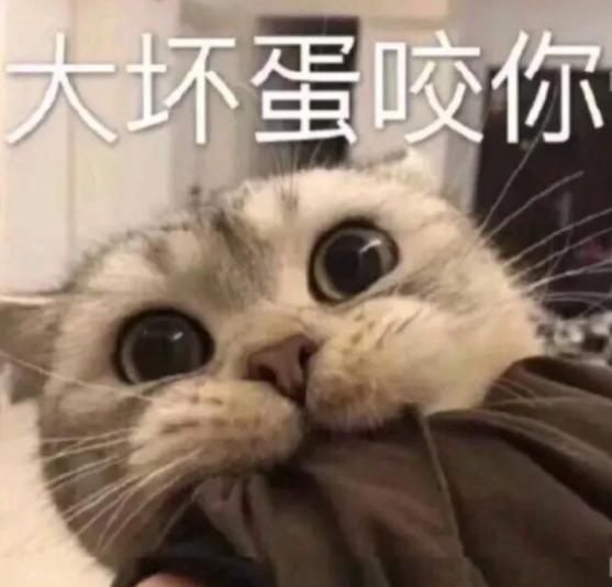 猫为什么喜欢咬人，猫为什么喜欢咬人手指又不真的咬（多半是这些原因导致的）