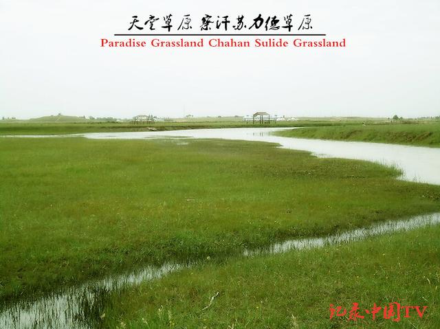 内蒙古有哪些城市，东北有哪些城市（内蒙古12个地级市）