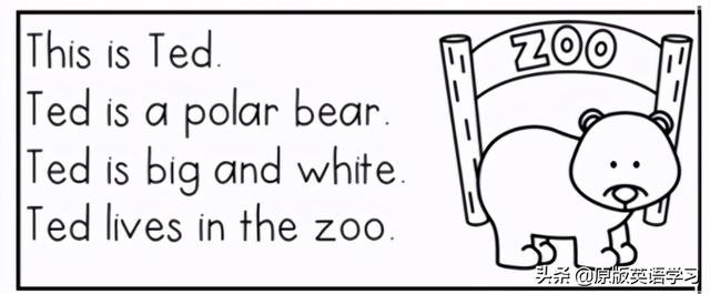 ted怎么读，puppy怎么读（英语原版阅读：This）