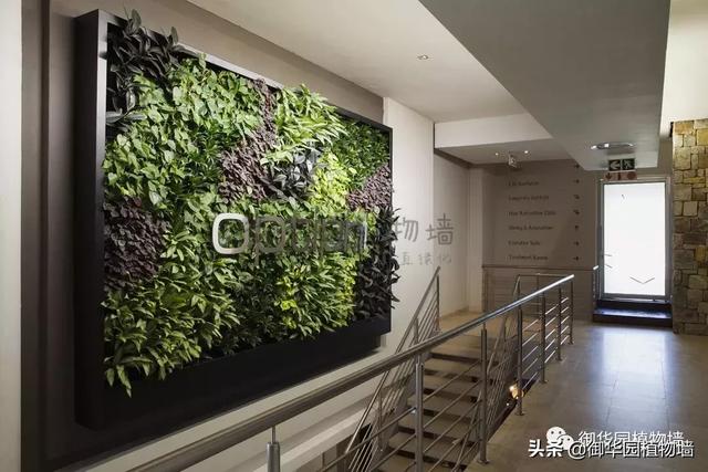 什么是生态壁画，壁画与环境的关系（壁画式植物墙之美）