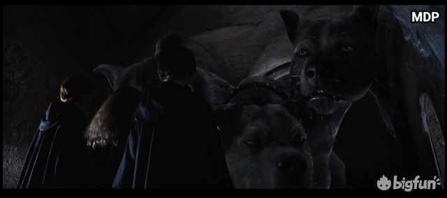 关于地狱三头犬，关于地狱三头犬的描写（从地狱三头犬到有趣的“多头”文化）