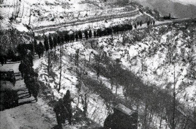 什么桥下没水，什么桥下没水立交桥打一生肖（美军空投桥梁修复水门桥）