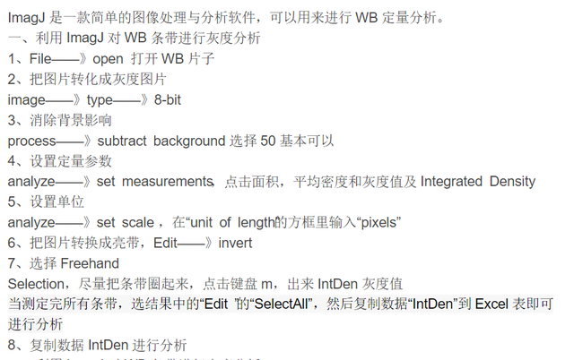 imagej灰度分析，imagej灰度分析最后结果怎么看（科研人员做的western）