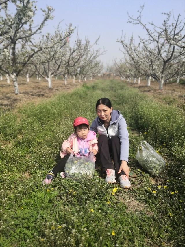 审核员报考条件，国家注册审核员做什么的（管理体系认证审核员是一种什么职业）