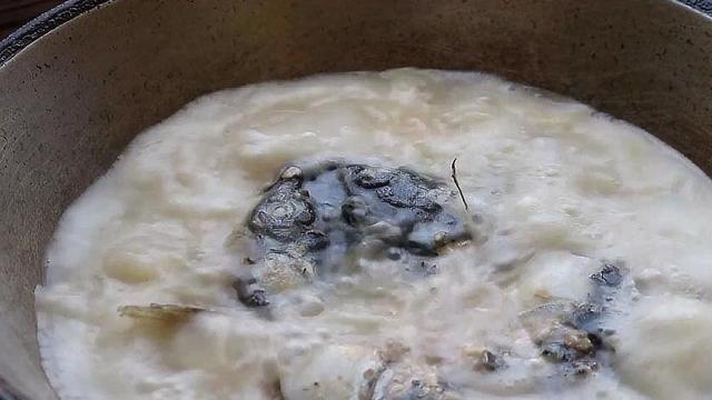 炖鱼头汤的家常做法，炖鱼头汤的家常做法大全（汤汁奶白一点也不腥）