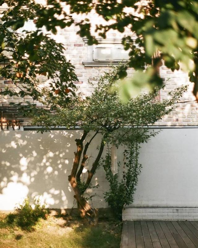 美好阳光且干净的女生头像  星空迷上了山野微信，美好阳光且干净的女生头像  星空迷上了山野，有雾有灯也有归人。（有哪些好看非人物的头像）