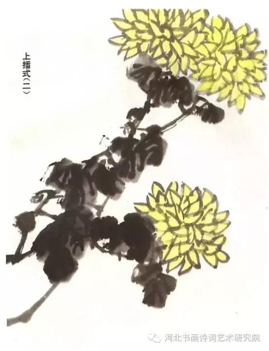 花的画法——菊花的画法，菊花是怎么画（菊花画法大全）