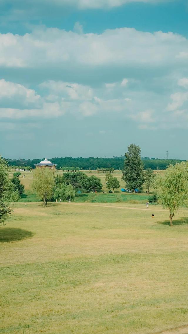 绿色系壁纸☆，绿色系清新壁纸（一些绿色系壁纸图片）