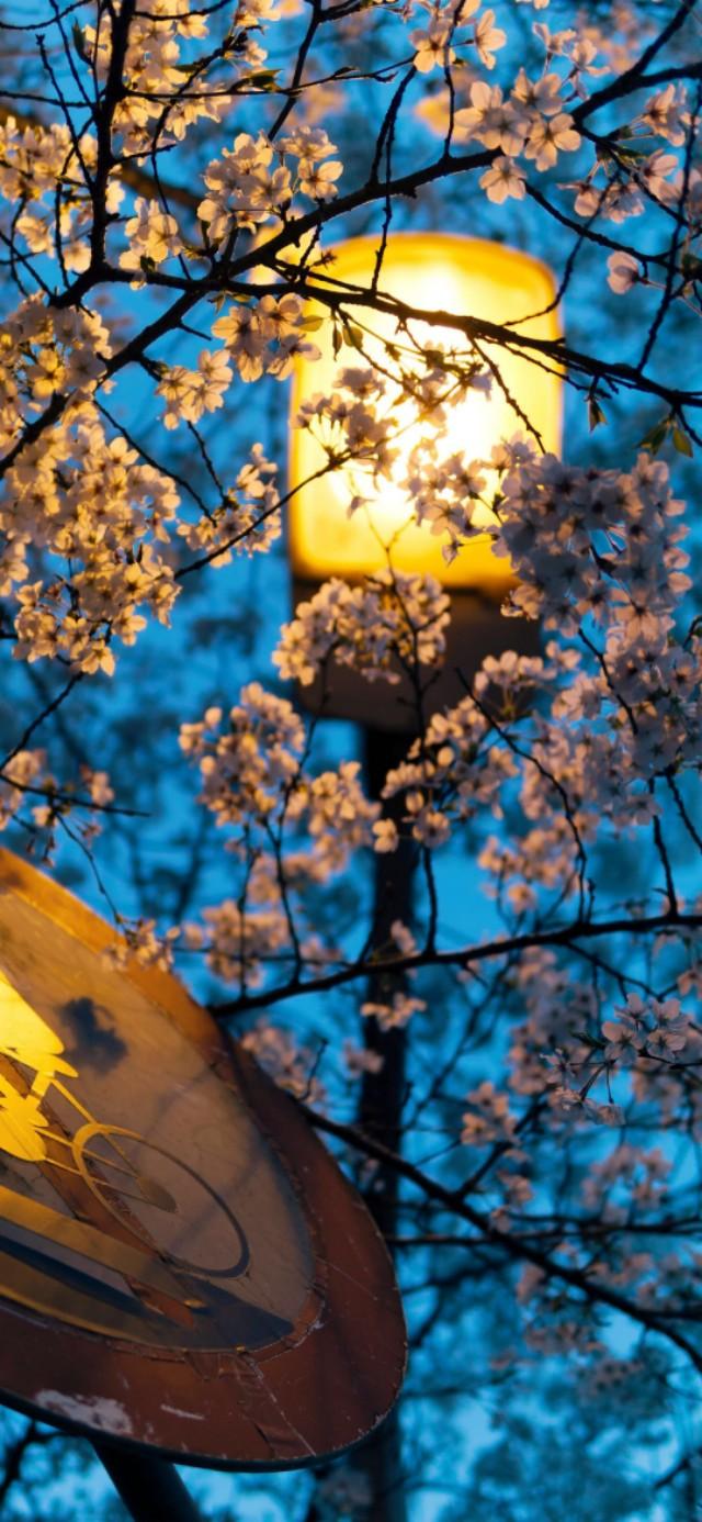 扎心背景图片。，微信扎心背景图（凌晨的故事最扎心）