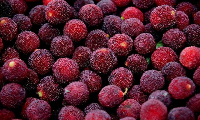 漳州有什么好吃的可以带的特产，漳州有什么好吃的可以带的特产零食（福建漳州十大特产有哪些）