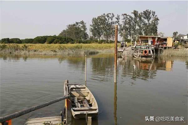 沼虾和基围虾是不是海鲜，海虾是基围虾吗（为什么南北方卖的虾不一样）