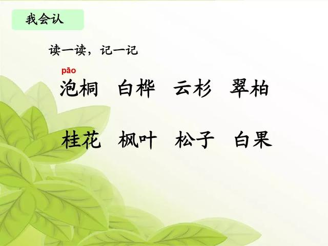 汉字松的组词，松的组词（部编版二年级语文上册识字2《树》知识点+图文解读）