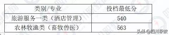 川南幼儿师范高等专科学校分数线，高考多少分可以上川南幼儿师范高等专科学校（四川省本科二批次2019年对口高职投档录取线出炉）