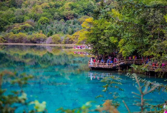 九寨沟在哪个市，九寨沟在哪里个城市（刚刚，九寨沟全域，重新开放）