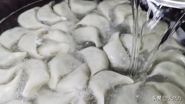 煮饺子多长时间，煮饺子几分钟（煮饺子多长时间）