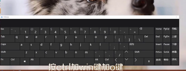 键盘锁住了怎么解锁，键盘锁住了怎么解锁快捷键（台式电脑键盘锁住了怎么办）