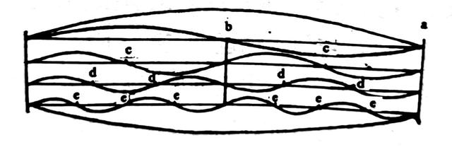 中国乐器和外国乐器的区别，中外乐器差异（乐器的音响原理——以弦乐器和管乐器为例）