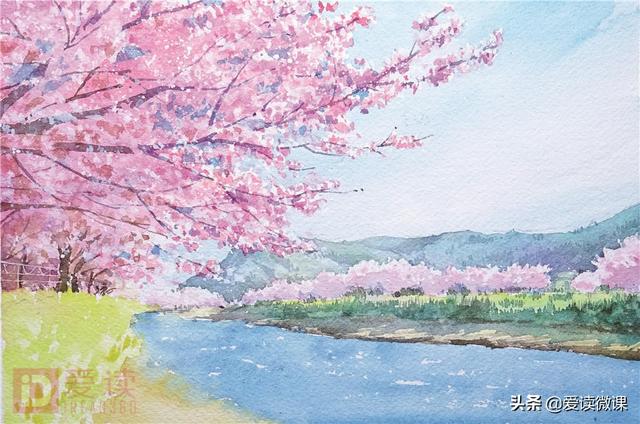 绘画系列之教你如何画简易樱花，樱花绘画简单（别再错过这篇樱花手绘教学啦）