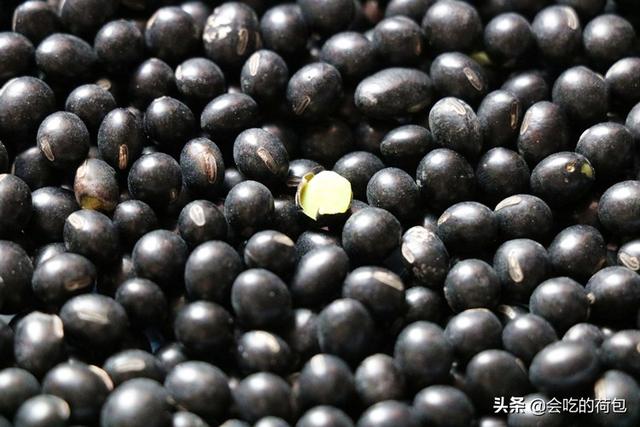 黑豆最简单的吃法，黑豆的简单吃法（教你1个简单做法）