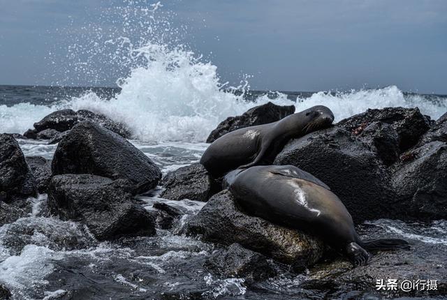 厄瓜多尔在哪里，厄尔多瓜具体在哪里（走进厄瓜多尔——世界上唯一以“赤道”命名的国家）