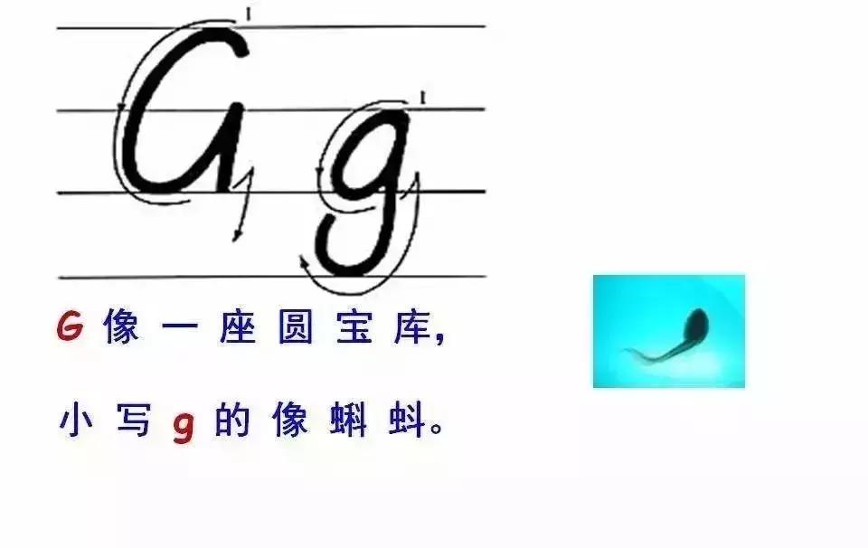 语文字母表大小写的正确书写格式，26个字母书写顺序笔画