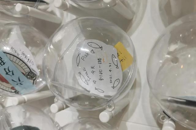 优秀网站设计，网站平面设计（愿你们都能找到那个人）