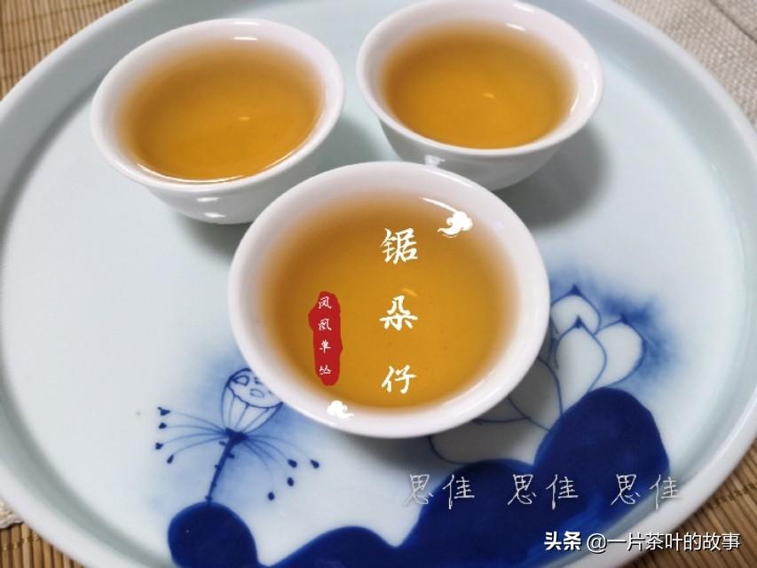 凤凰单枞属于什么茶(凤凰单枞为什么叫单枞)插图(16)