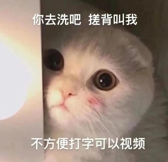 一对可爱狗狗表情包图集，情侣专用狗狗猫猫可可爱爱沙雕表情包