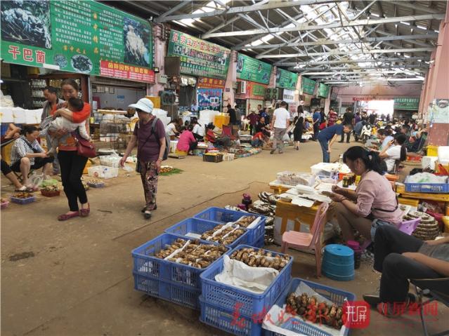 牛肝菌冷冻保存方法，牛肝菌冷冻保存方法图解（野生菌即将“退隐江湖”）