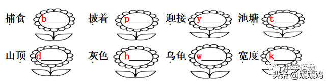 哇的拼音，哇的拼音（哇念啥）（部编版二年级语文上册第1课《小蝌蚪找妈妈》课件及同步练习）