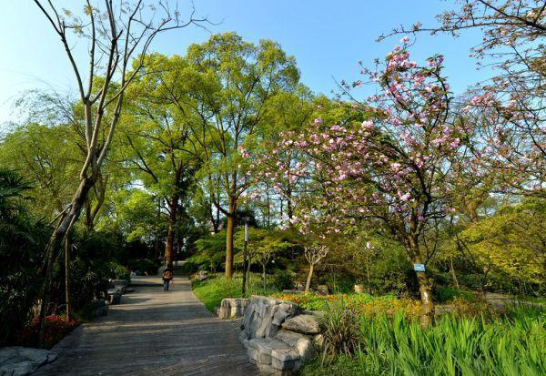 怎样安排重庆三日游，攻略在此。（三日游攻略收好）