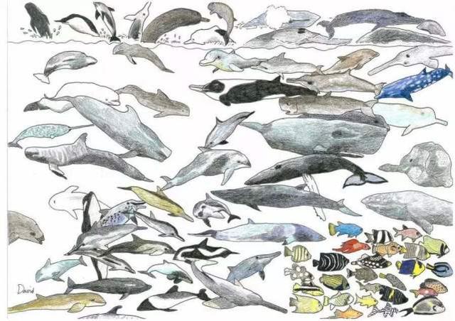 自闭症患者，微信头像，自闭症患者（网友：难怪他不爱说话）