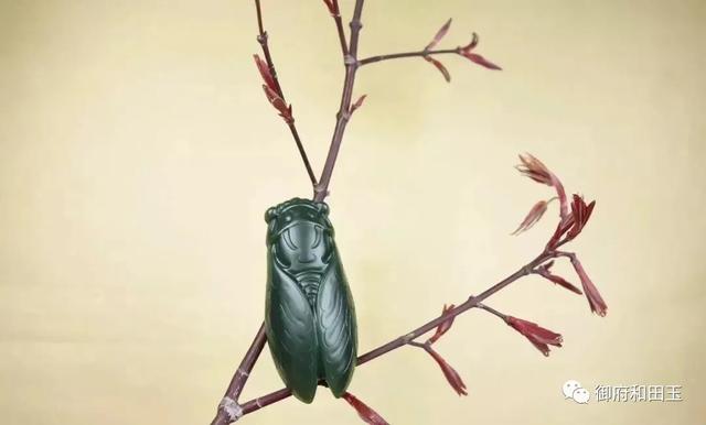 玉蝉活人能戴吗，玉蝉活人能戴吗有讲究吗（至今仍是一个不可忽略的玉雕经典）