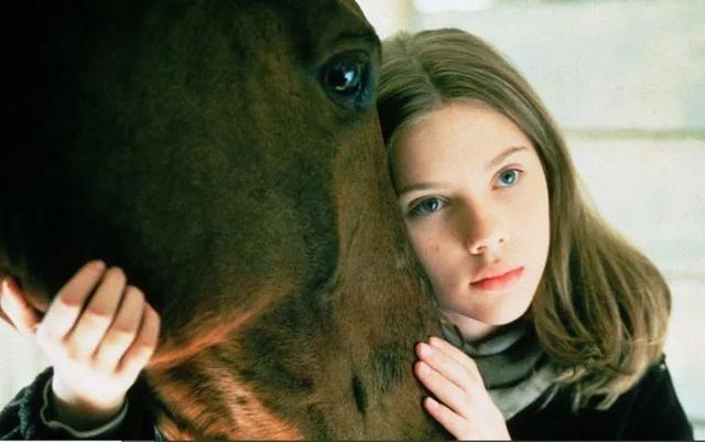 9部最好的，关于马的电影，每个人都会对马儿着迷（上）